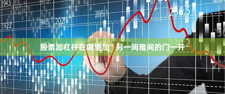 股票加杠杆在哪里加”另一间雅间的门一开